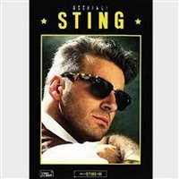 Montatura vista Sting 4033 - 4033